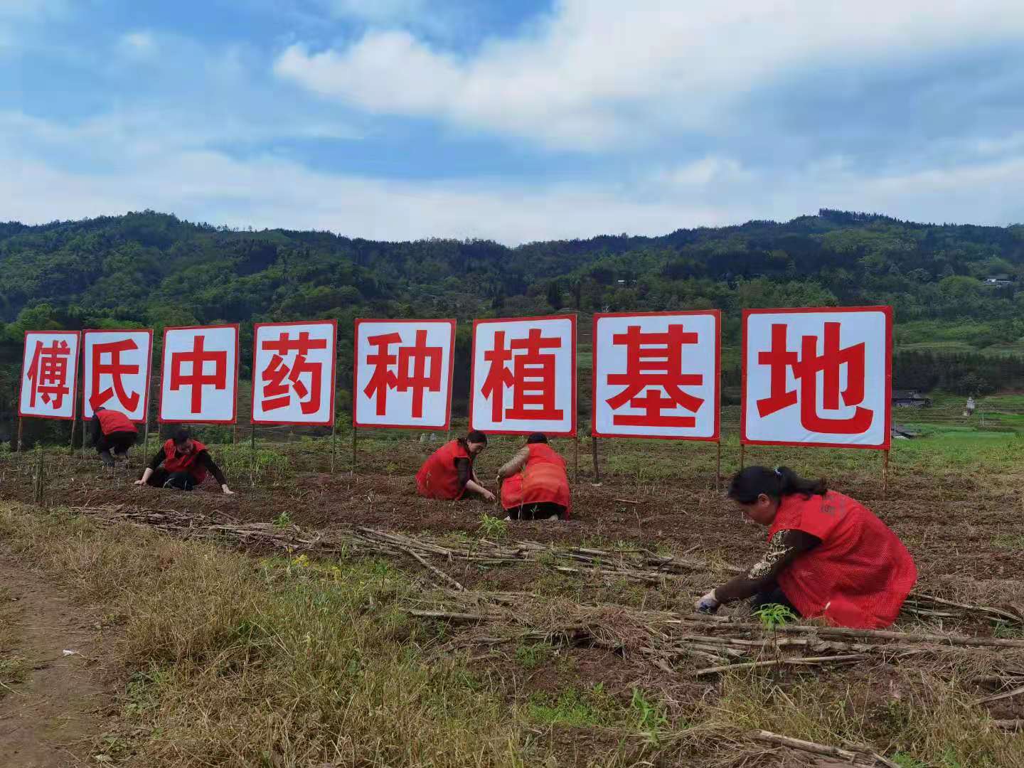 韶光立夏筠连行，天下谁人不识“筠”——访百年傅氏黄精食品厂